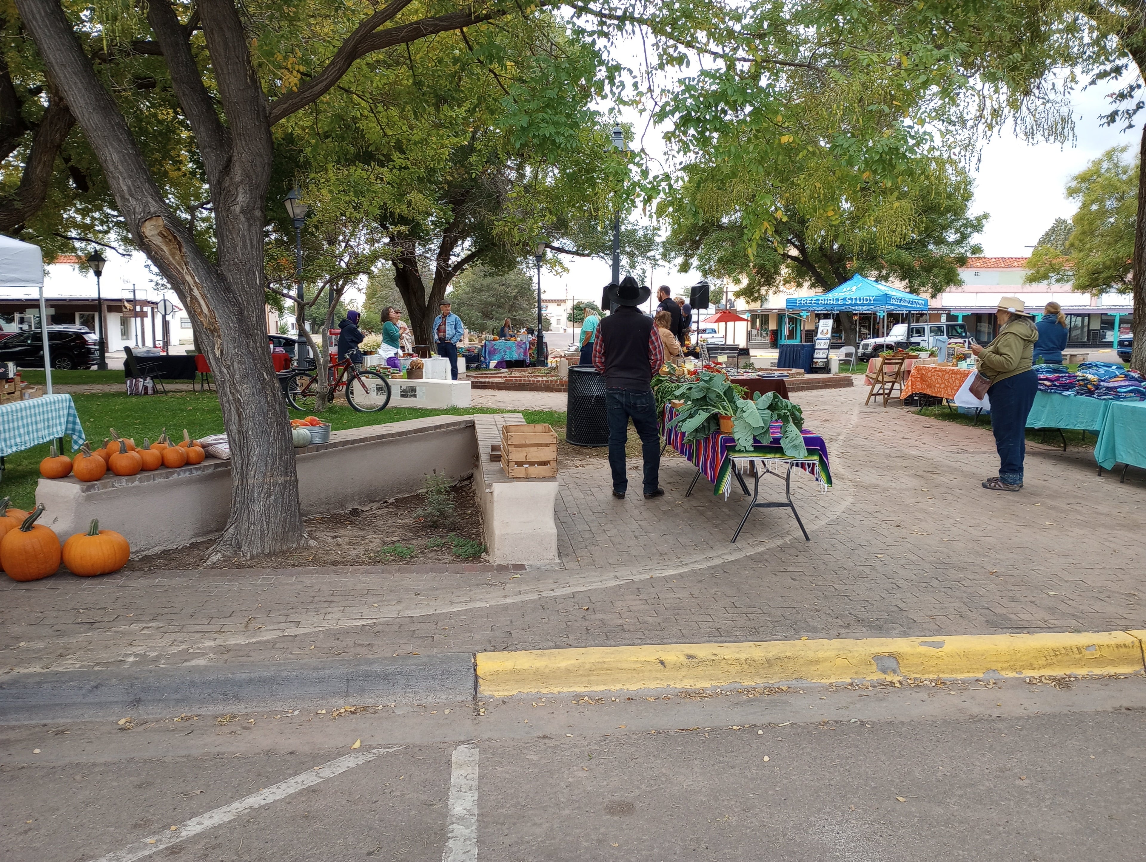 Are Farmers Markets Healthier Than Grocery Stores? The Science-Backed Answer