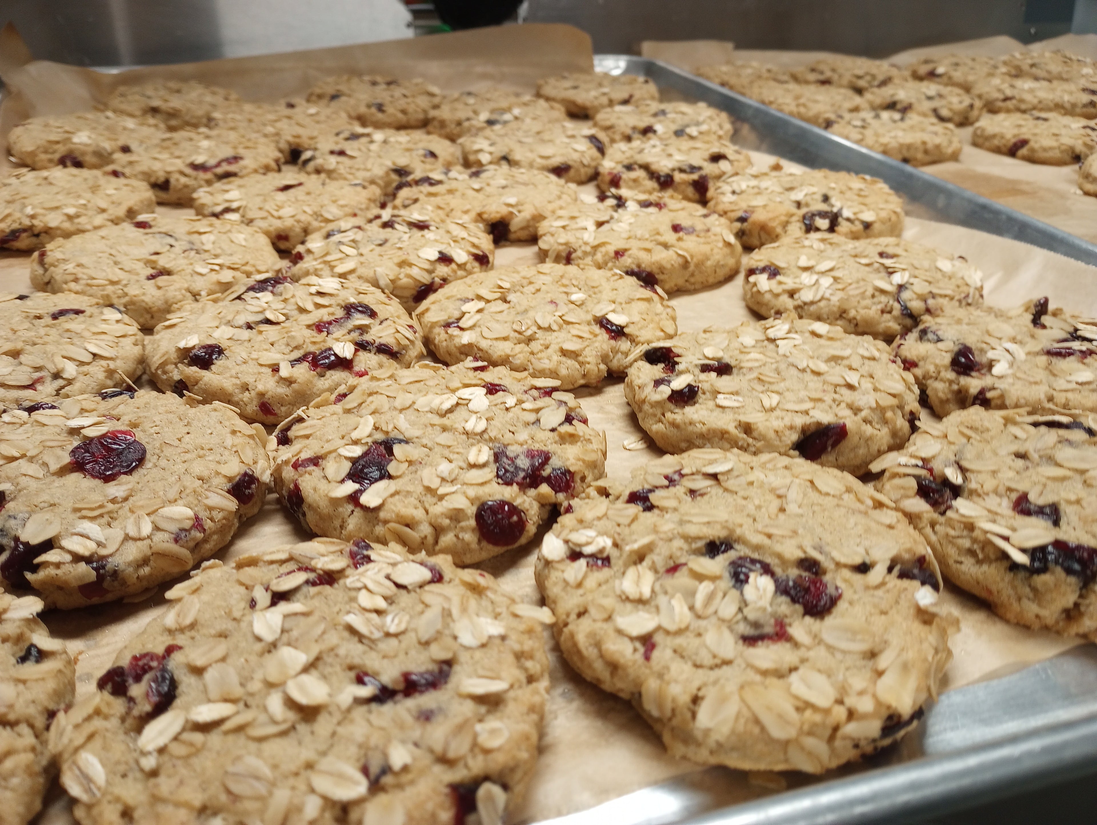 Oatmeal Cranberry Cookie Mix (Gluten-Free)